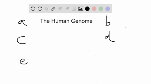 which-of-the-following-does-not-characterize-the-human-genome-a-introns-occupy-20-to-25-of-the-genom