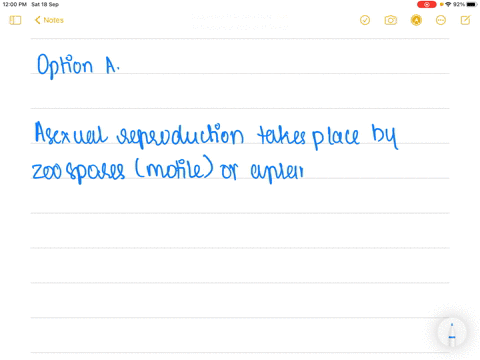 endogenously-produced-spores-are-found-in-all-except-a-mushroom-b-mucor-c-albugo-d-rhizopus