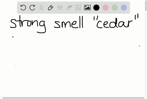 you-detect-the-strong-smell-of-cedar-when-you-enter-a-furniture-store-however-after-a-short-while-in