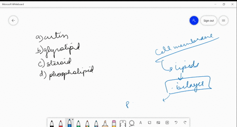 the-most-abundant-lipid-in-the-cell-membrane-is-a-cutin-b-glycolipid-c-steroid-d-phospholipid
