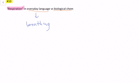⏩SOLVED:What does respiration mean in everyday language, and what