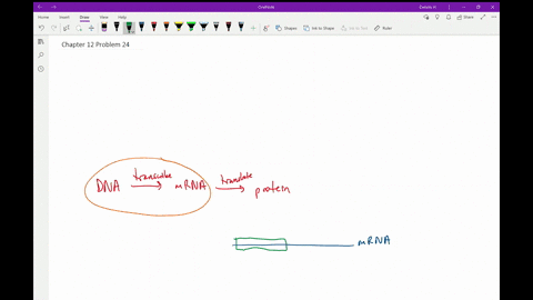 write-a-sentence-that-connects-the-vocabulary-terms-in-each-pair-intron-exon