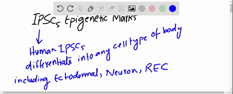 the-use-of-embryonic-stem-cells-has-been-proposed-for-replacing-cells-that-are-destroyed-by-disease-