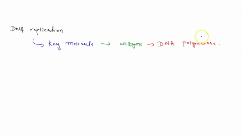 the-enzyme-or-enzymes-responsible-for-adding-new-nucleotides-to-a-growing-dna-chain-during-dna-repli