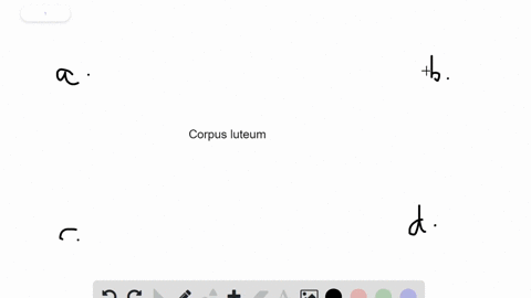 after-ovulation-the-corpus-luteum-secretes-_____-a-luteinizing-hormone-lh-b-progesterone-c-follicle-