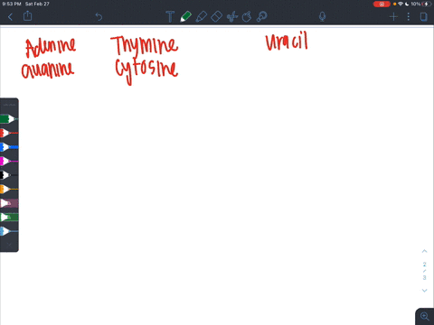 which-is-not-a-nucleotide-base-in-dna-a-adenine-b-guanine-c-uracil-d-thymine-e-cytosine-f-all-are--2