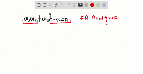 write-the-equation-for-the-final-step-in-the-beta-oxidation-pathway-of-any-fatty-acid-with-an-even-n