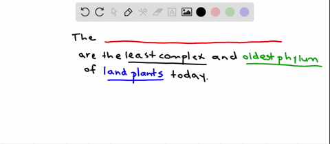 the-simplest-and-most-ancient-phylum-of-modern-land-plants-is-probably-a-the-pteridophytes-b-the-c-2