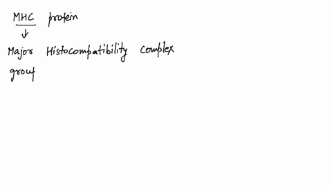 what-is-filial-imprinting-what-is-sexual-imprinting-why-do-some-young-animals-imprint-on-objects-l-2