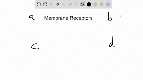 which-of-the-following-receptor-types-is-not-a-membrane-receptor-a-channel-linked-receptor-b-enzym-3