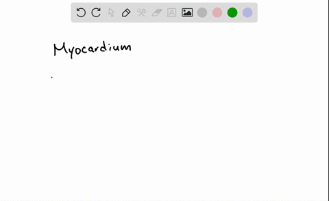 the-myocardium-receives-its-blood-supply-directly-from-the-a-aorta-b-coronary-arteries-c-coronary-si