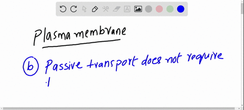 which-of-the-following-statements-about-transport-through-the-plasma-membrane-of-a-cell-is-correct-a