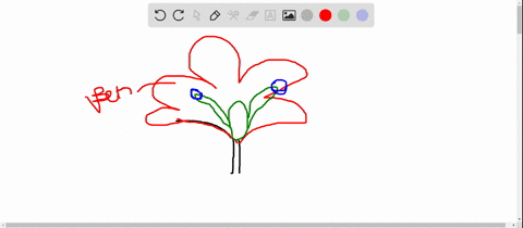 what-are-the-two-structures-that-allow-angiosperms-to-be-the-dominant-form-of-plant-life-in-most-ter