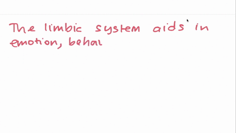 the-portion-of-the-brain-that-is-responsible-for-emotions-is-the-______-a-hypothalamus-c-reticular-f