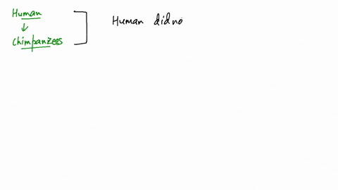 did-humans-evolve-from-chimpanzees-explain