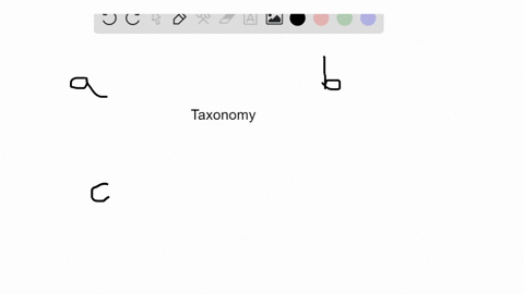 which-of-these-statements-best-pertains-to-taxonomy-a-species-always-have-three-part-names-such-as-h