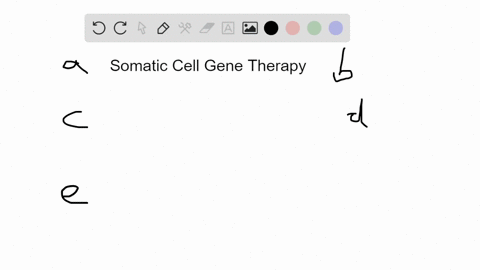 which-of-the-following-is-not-true-of-somatic-cell-gene-therapy-a-white-blood-cells-can-be-used-b--2