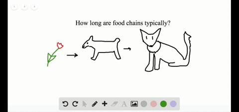 SOLVED:What is the primary factor that limits the length of food chains ... Biology Diagrams