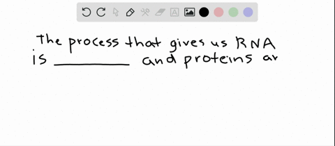 rnas-form-by-________-proteins-form-by-a-replication-translation-_______-c-translation-transcription