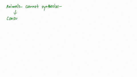 fill-in-the-blanks-in-each-question-animals-that-cannot-synthesize-food-and-which-depend-on-other-or