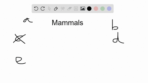 which-of-the-following-characteristics-did-not-contribute-to-the-evolutionary-success-of-mammals-a-2