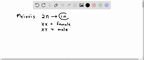 which-of-the-following-genotypes-due-to-nondisjunction-of-sex-chromosomes-is-lethal-beginarrayllllll