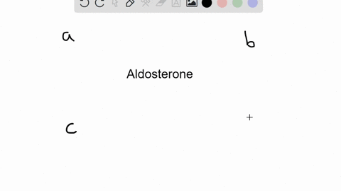 which-two-ions-are-most-affected-by-aldosterone-a-sodium-and-potassium-b-chloride-and-bicarbonate-c-