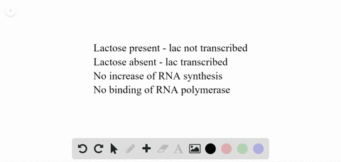 what-would-happen-if-the-operator-sequence-of-the-lac-operon-contained-a-mutation-that-prevented-the