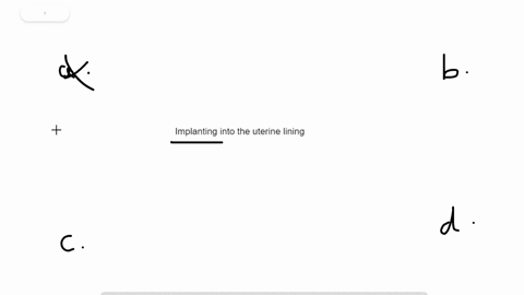 a______implants-in-the-lining-of-the-human-uterus-a-zygote-b-blastocyst-c-gastrula-d-fetus