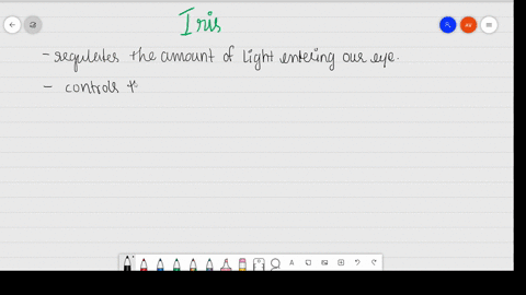 what-is-the-purpose-of-the-iris-a-to-focus-light-on-the-retina-b-to-process-color-c-to-allow-light-i