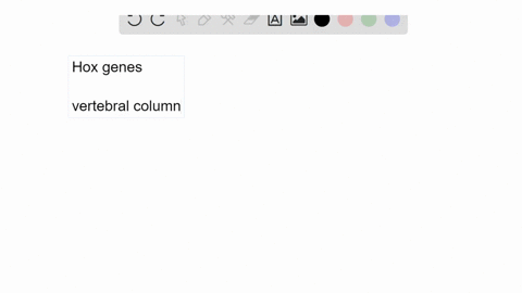 in-figure-13-11-what-is-the-evidence-that-vertebrate-mathrmhox-genes-govern-the-identity-of-serially