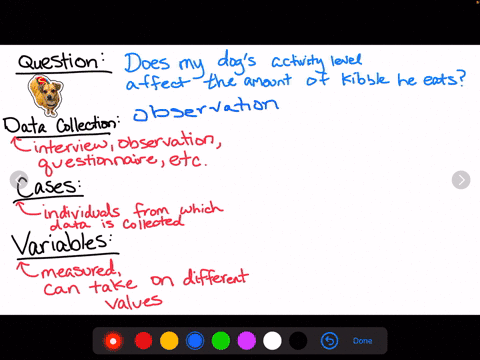 choose-your-own-question-come-up-with-your-own-question-you-would-like-to-be-able-to-answer-what-i-2