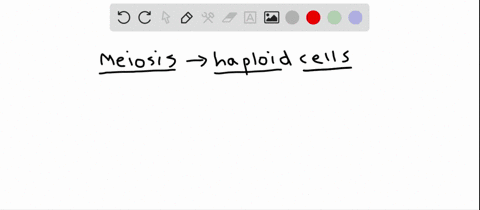 the-stage-of-meiosis-that-makes-descendant-cells-haploid-is-_____________-a-prophase-i-d-anaphase-ii
