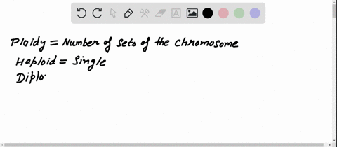 dogs-have-a-diploid-chromosome-number-of-78-how-many-chromosomes-do-their-gametes-have-a-39-b-78-c-1