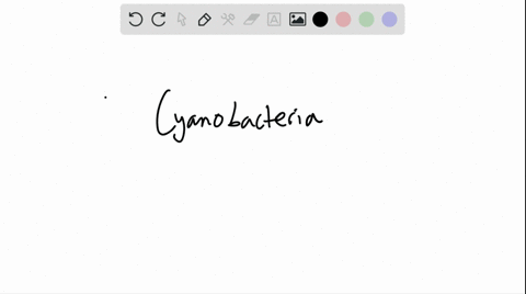 ______________-are-oxygen-releasing-photoautotrophs-a-spirochetes-b-methanogens-c-cyanobacteria-d-ba