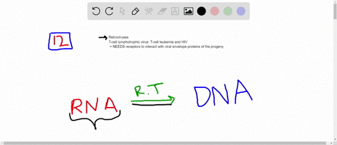 the-genome-of-a-retrovirus-can-integrate-into-the-hostcell-genome-what-gene-is-unique-to-retroviru-2