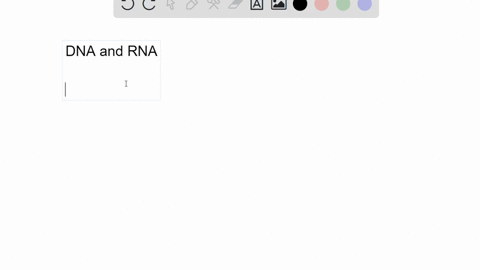 one-of-the-biggest-differences-between-dna-replication-and-transcription-is-that-rna-polymerase-do-3