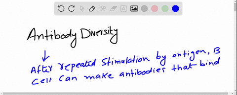in-what-way-can-antibodies-increase-their-diversity-that-tcrs-cannot