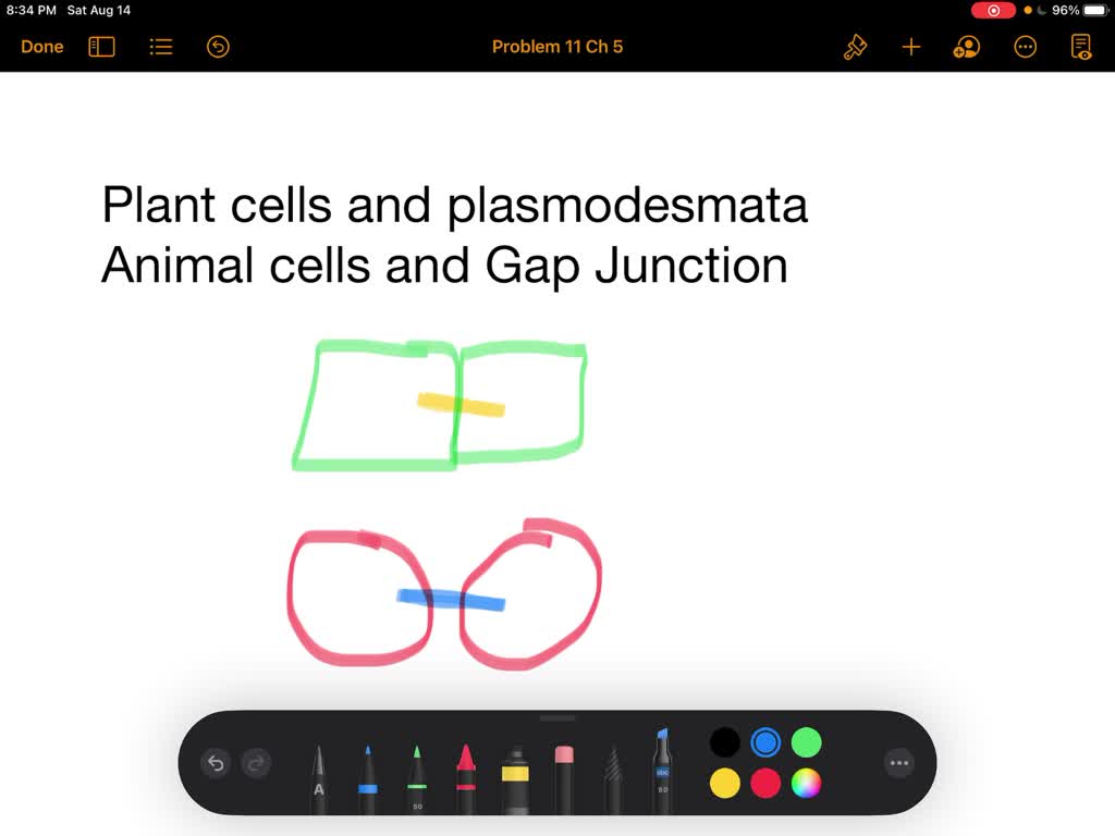 SOLVED:Most adjacent plant cells are connected by Most adjacent plant ...