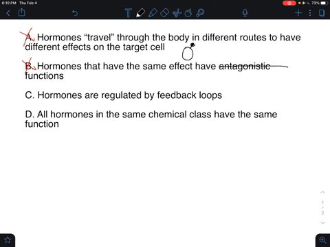 which-statement-is-accurate-a-hormones-that-differ-in-effect-reach-their-target-cells-by-different-r
