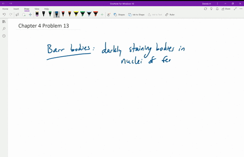 what-is-a-barr-body-how-is-it-related-to-the-lyon-hypothesis-2