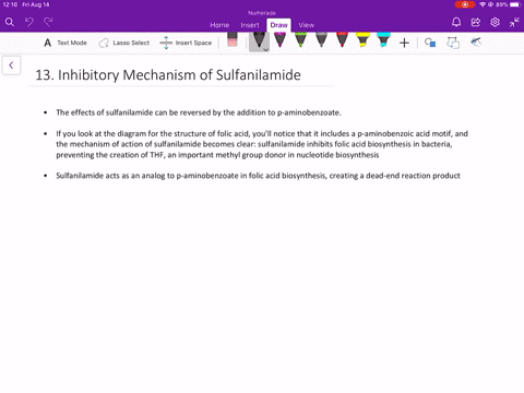bacterial-growth-is-inhibited-by-sulfanilamide-and-related-sulfa-drugs-and-there-is-a-concomitant-ac