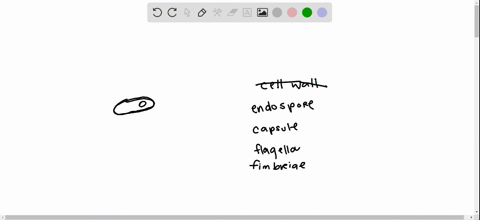 which-bacterial-structures-are-important-for-adherence-to-surfaces-select-all-that-apply-a-endospore