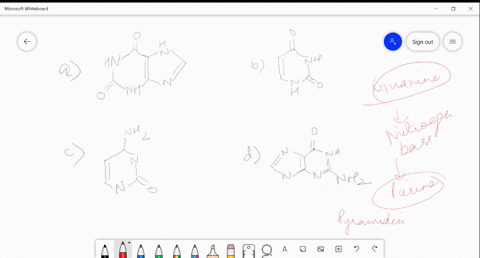 identify-structure-of-guanine-2