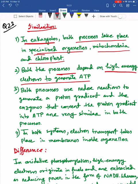 compare-and-contrast-compare-and-contrast-oxidative-phosphorylation-and-photosynthesis