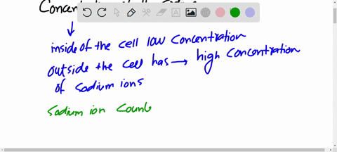 this-problem-explores-what-happens-to-the-resting-steady-state-of-a-membrane-after-the-ion-pumps-are