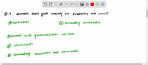 animals-that-feed-mainly-on-producers-are-a-herbivores-b-secondary-consumers-c-animals-with-gastrova