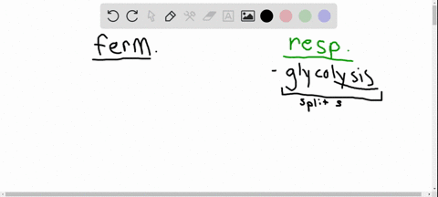 which-metabolic-pathway-is-common-to-both-fermentation-and-cellular-respiration-of-a-glucose-molec-2