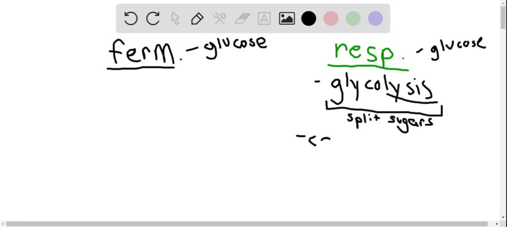 Solved:which Metabolic Pathway Is Common To Both Fermentation And Cellular  Respiration Of A Glucose Molecule? A. The Citric Acid Cycle B. The Electron  Transport Chain C. Glycolysis D. Reduction Of Pyruvate To Solved:which Metabolic Pathway Is Common To Both Fermentation And Cellular  Respiration Of A Glucose Molecule? A. The Citric Acid Cycle B. The Electron  Transport Chain C. Glycolysis D. Reduction Of Pyruvate To