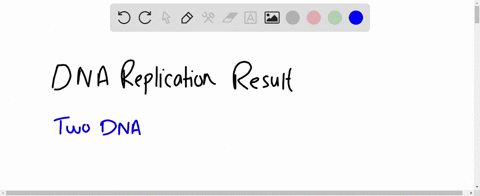 dna-replication-results-in-a-two-dna-molecules-one-with-two-old-strands-and-one-with-two-new-stran-2